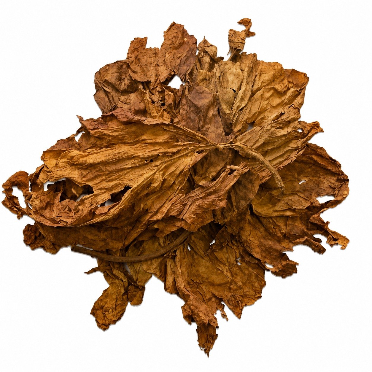 Flue Cured Virginia
