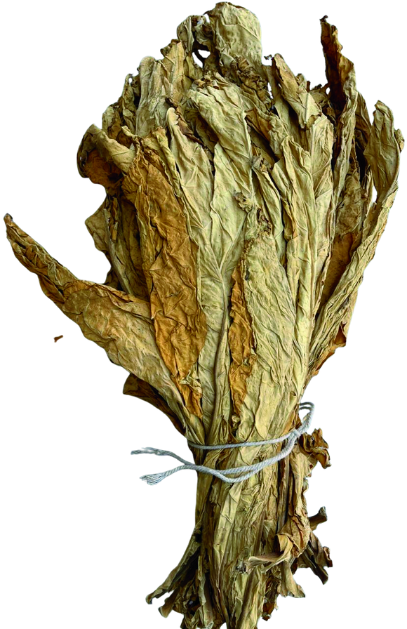 Cured tobacco leaves