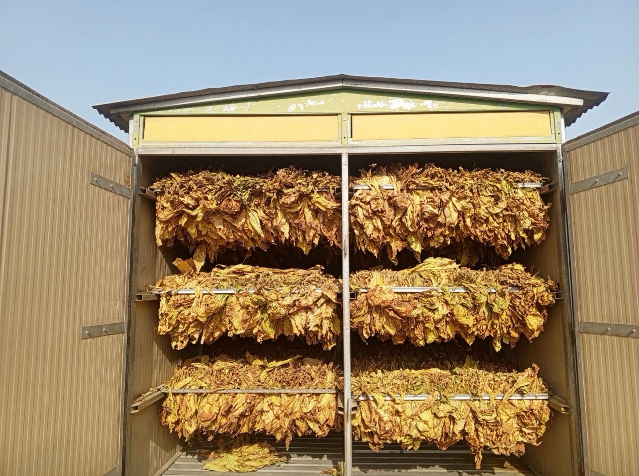 Harvesting & Priming